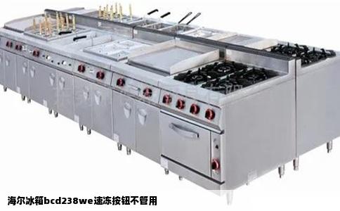 海尔冰箱bcd238we速冻按钮不管用