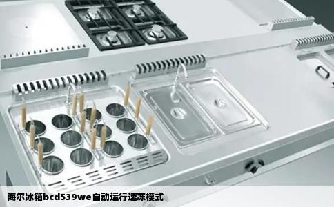 海尔冰箱bcd539we自动运行速冻模式