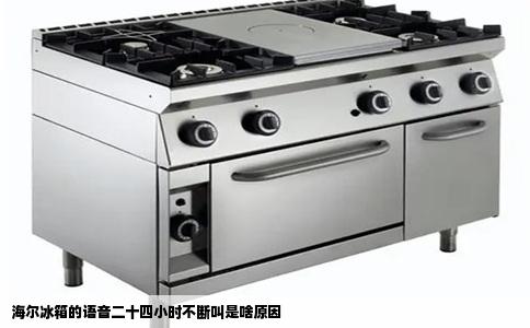 海尔冰箱的语音二十四小时不断叫是啥原因