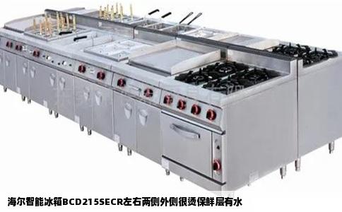 海尔智能冰箱BCD215SECR左右两侧外侧很烫保鲜层有水