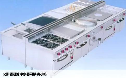 汉斯顿超滤净水器可以换芯吗