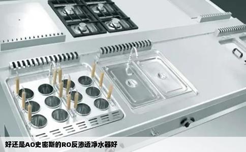 好还是AO史密斯的RO反渗透净水器好