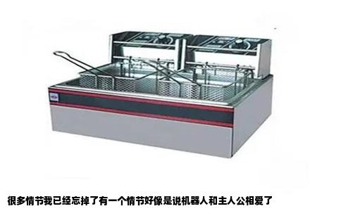 很多情节我已经忘掉了有一个情节好像是说机器人和主人公相爱了
