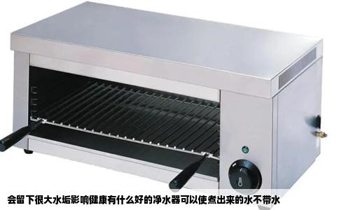 会留下很大水垢影响健康有什么好的净水器可以使煮出来的水不带水