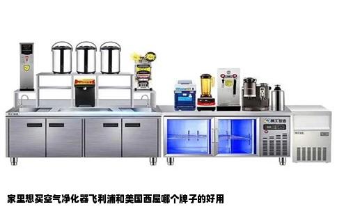 家里想买空气净化器飞利浦和美国西屋哪个牌子的好用