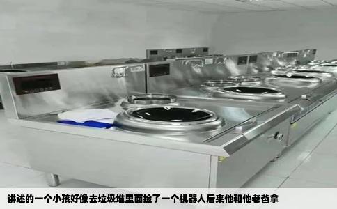 讲述的一个小孩好像去垃圾堆里面捡了一个机器人后来他和他老爸拿