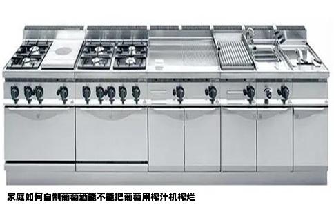 家庭如何自制葡萄酒能不能把葡萄用榨汁机榨烂