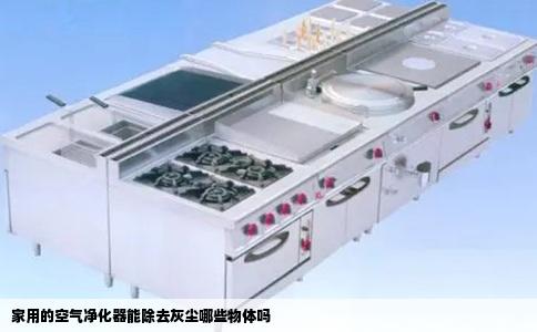 家用的空气净化器能除去灰尘哪些物体吗