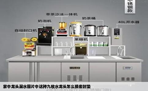 家中龙头漏水图片中这种九牧水龙头怎么换密封垫