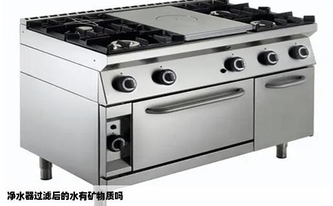 净水器过滤后的水有矿物质吗