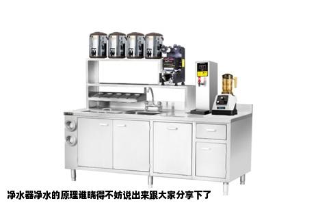 净水器净水的原理谁晓得不妨说出来跟大家分享下了