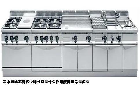 净水器滤芯有多少种分别是什么作用使用寿命是多久