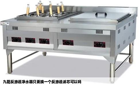 九阳反渗透净水器只更换一个反渗透滤芯可以吗