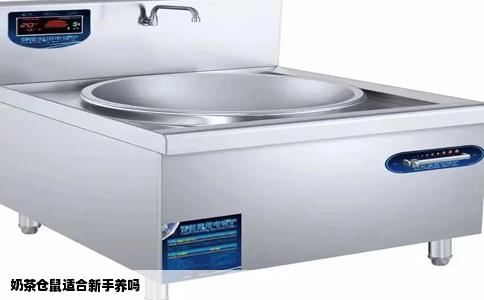 奶茶仓鼠适合新手养吗