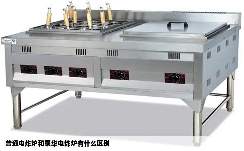 普通电炸炉和豪华电炸炉有什么区别