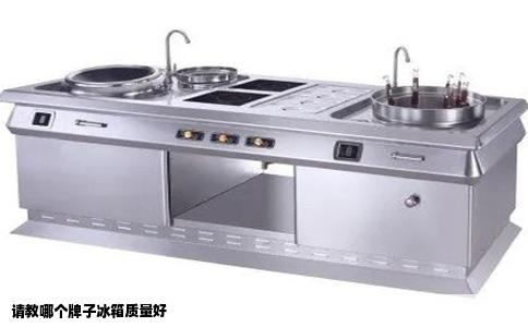 请教哪个牌子冰箱质量好