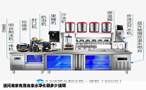 请问谁家有用自来水净化器多少钱呢