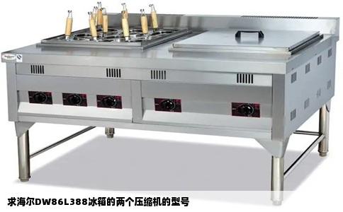 求海尔DW86L388冰箱的两个压缩机的型号