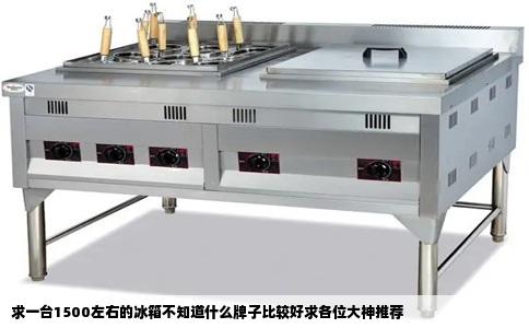 求一台1500左右的冰箱不知道什么牌子比较好求各位大神推荐