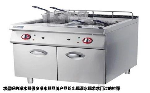 求最好的净水器很多净水器品牌产品都出现漏水现象求用过的推荐