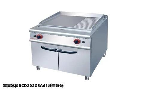 容声冰箱BCD202GSA61质量好吗