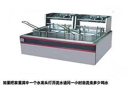 如果把家里其中一个水龙头打开流水请问一小时会流走多少吨水