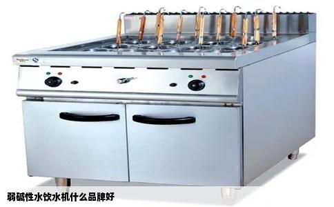 弱碱性水饮水机什么品牌好