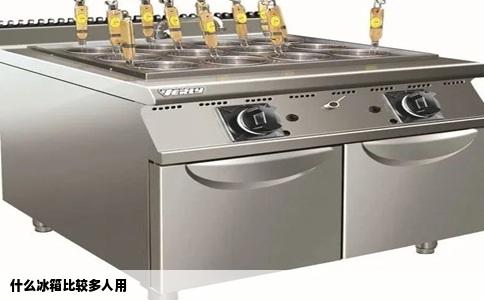 什么冰箱比较多人用