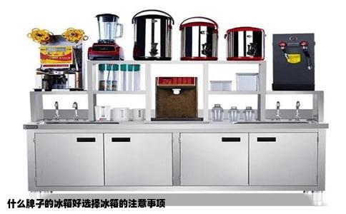 什么牌子的冰箱好选择冰箱的注意事项