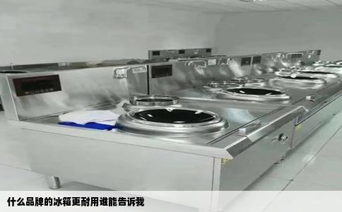 什么品牌的冰箱更耐用谁能告诉我