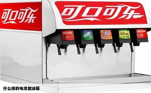 什么样的电池放冰箱