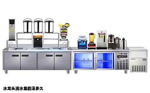 水龙头滴水鱼能活多久