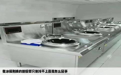 我冰箱刚换的新铜管只制冷不上霜是怎么回事