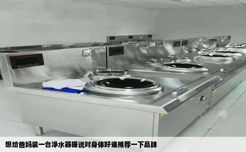 想给爸妈装一台净水器据说对身体好谁推荐一下品牌