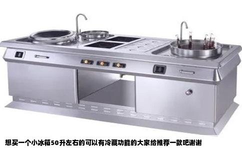 想买一个小冰箱50升左右的可以有冷藏功能的大家给推荐一款吧谢谢