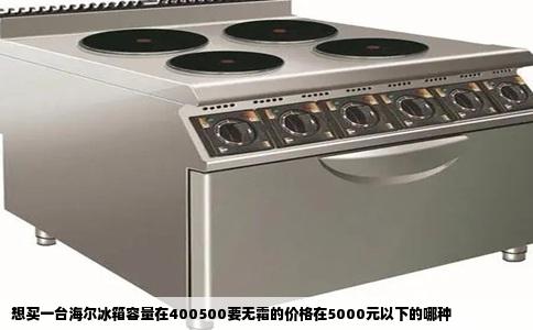 想买一台海尔冰箱容量在400500要无霜的价格在5000元以下的哪种