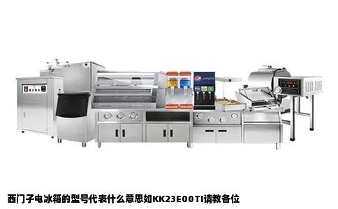 西门子电冰箱的型号代表什么意思如KK23E00TI请教各位
