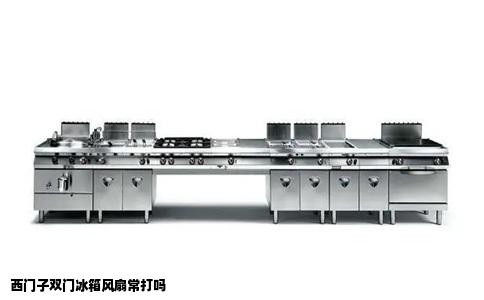 西门子双门冰箱风扇常打吗