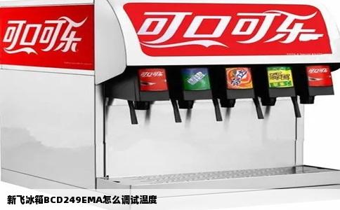 新飞冰箱BCD249EMA怎么调试温度