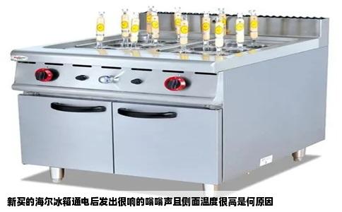 新买的海尔冰箱通电后发出很响的嗡嗡声且侧面温度很高是何原因