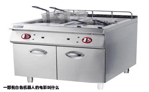 一部有白色机器人的电影叫什么