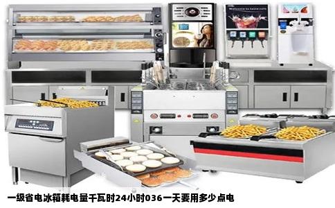 一级省电冰箱耗电量千瓦时24小时036一天要用多少点电