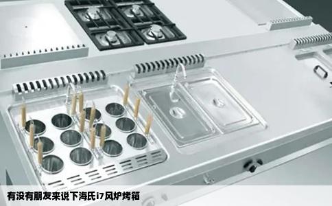 有没有朋友来说下海氏i7风炉烤箱