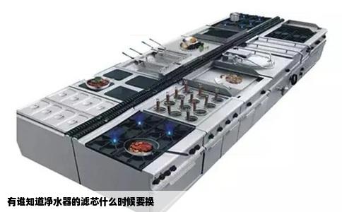 有谁知道净水器的滤芯什么时候要换