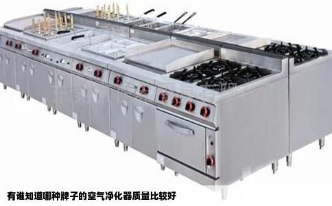 有谁知道哪种牌子的空气净化器质量比较好