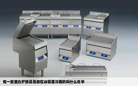 有一款美白护肤品是放在冰箱里冷藏的叫什么名字