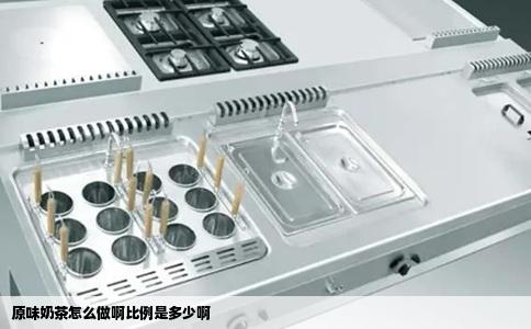 原味奶茶怎么做啊比例是多少啊