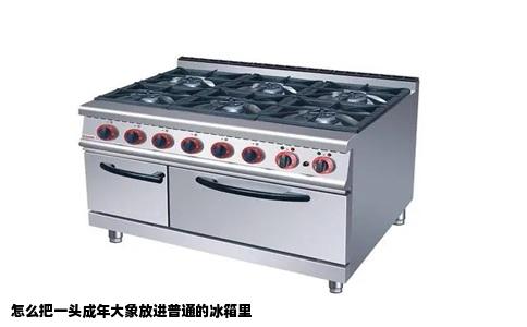 怎么把一头成年大象放进普通的冰箱里